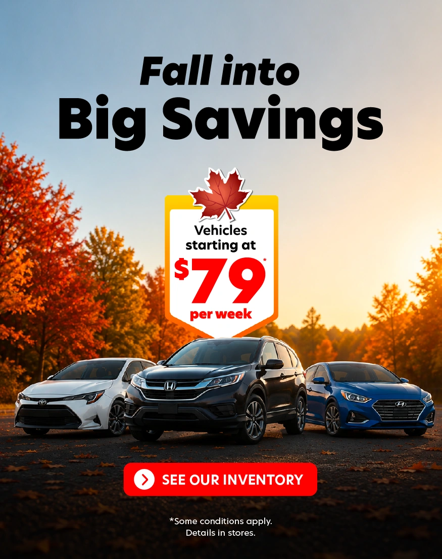 Fall into big savings