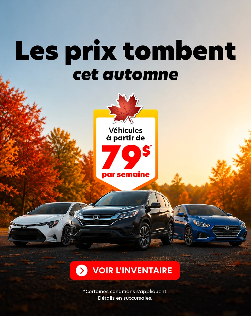 Les prix tombent cet automne