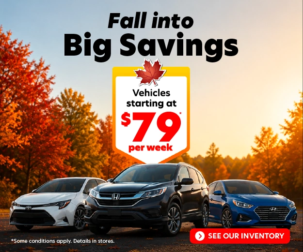 Fall into big savings