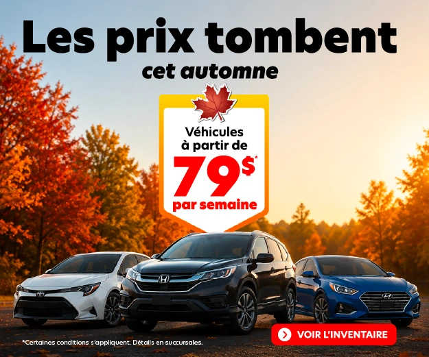 Les prix tombent cet automne