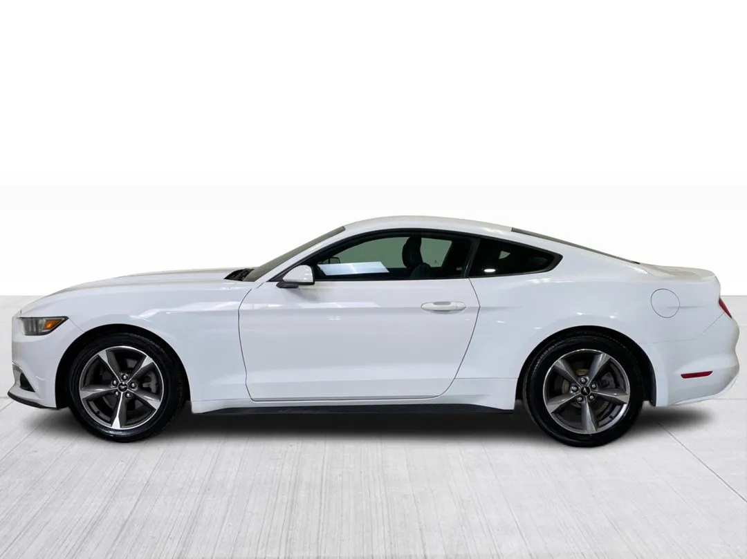 2017 Ford Mustang — photo 8
