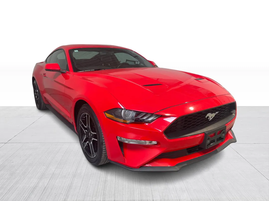 Ford Mustang 2019 à vendre - photo 1