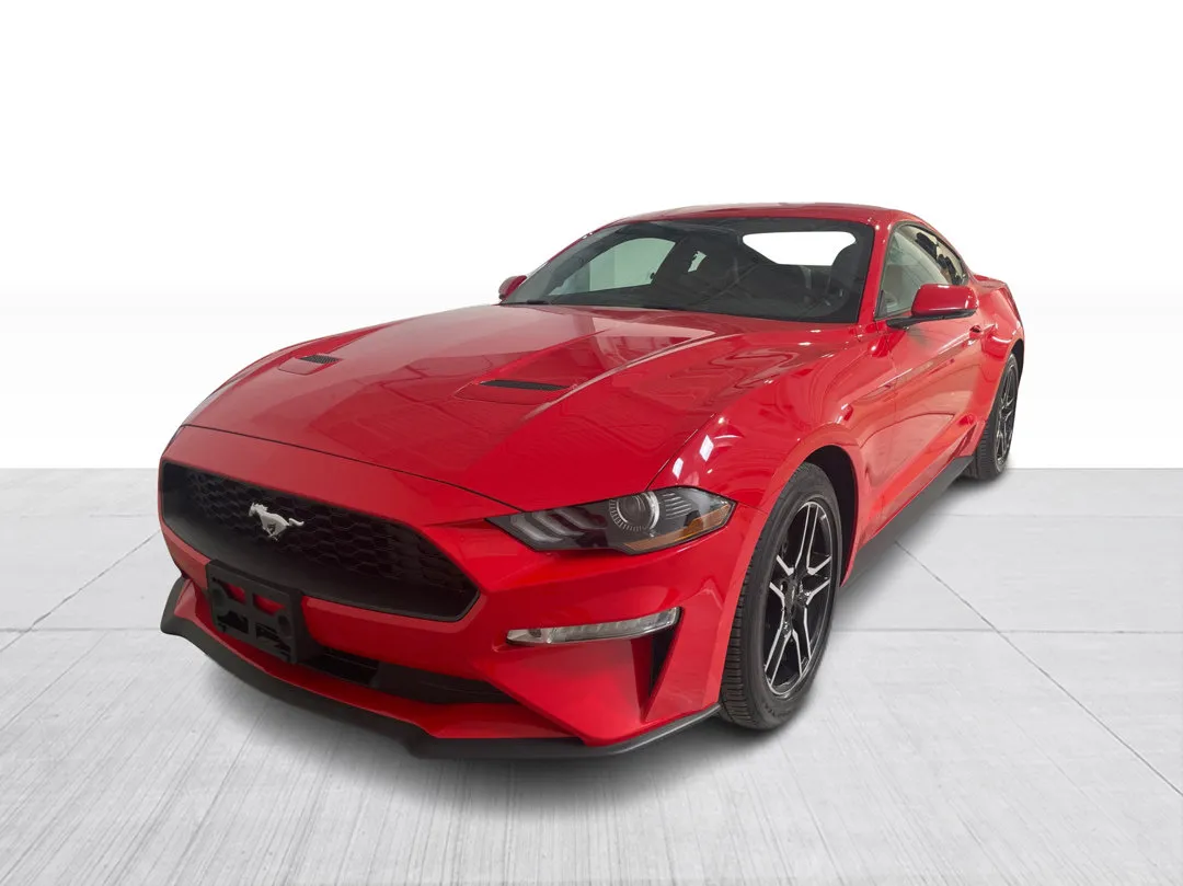 Ford Mustang 2019 à vendre - photo 3