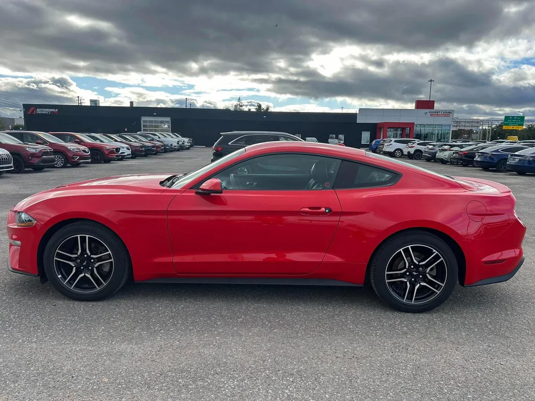 2019 Ford Mustang EcoBoost Premium, photo 5