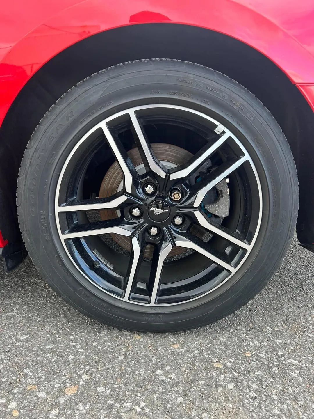 2019 Ford Mustang EcoBoost Premium, photo 9