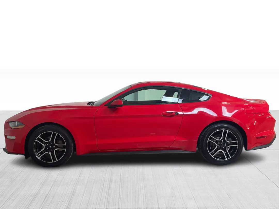 Ford Mustang 2019 à vendre - photo 4