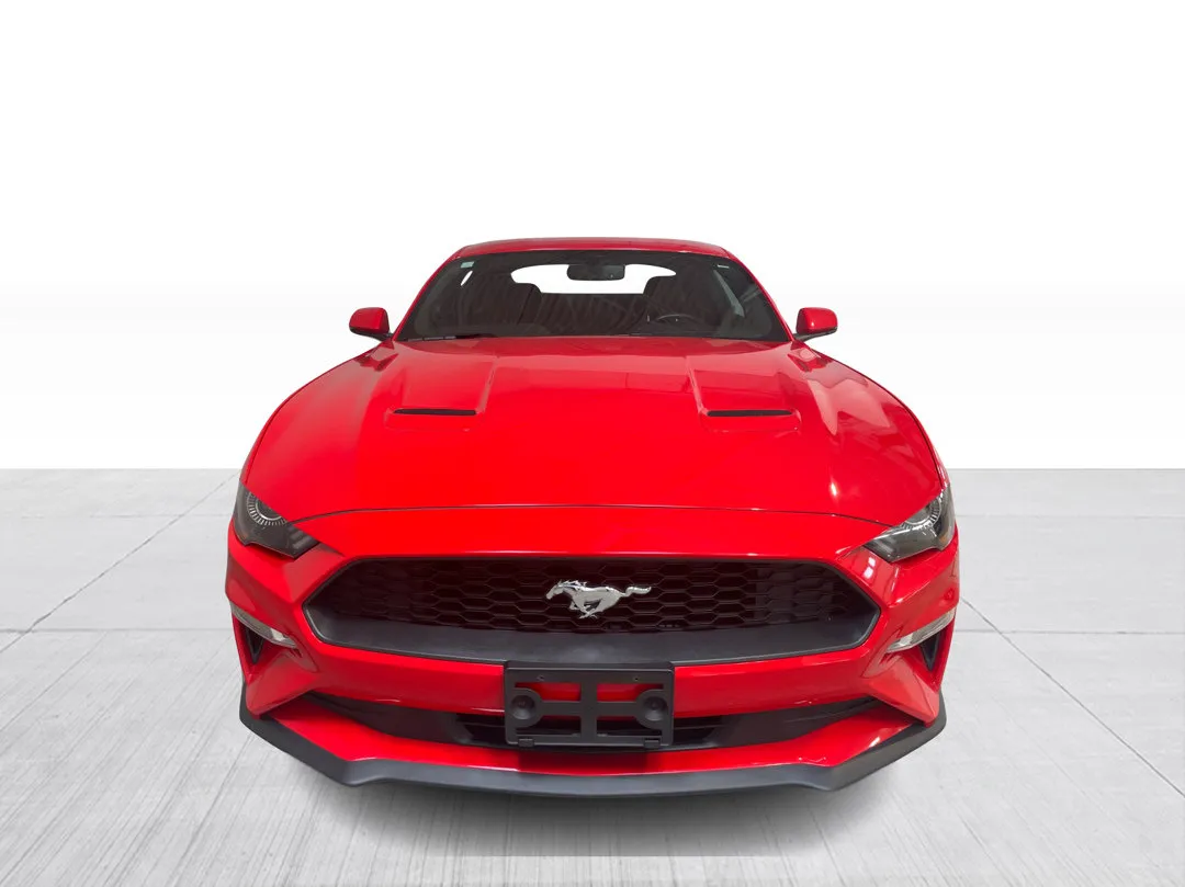 Ford Mustang 2019 à vendre - photo 2