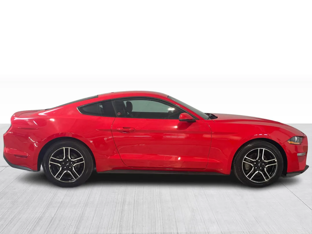 Ford Mustang 2019 à vendre - photo 2