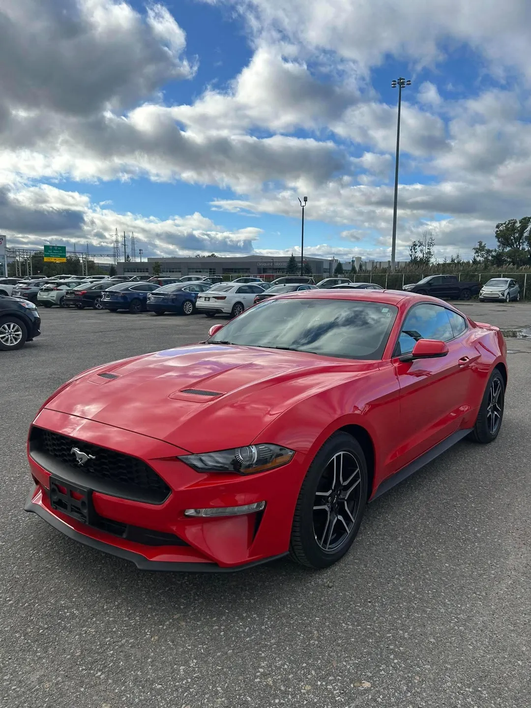 Ford Mustang 2019 à vendre - photo 3