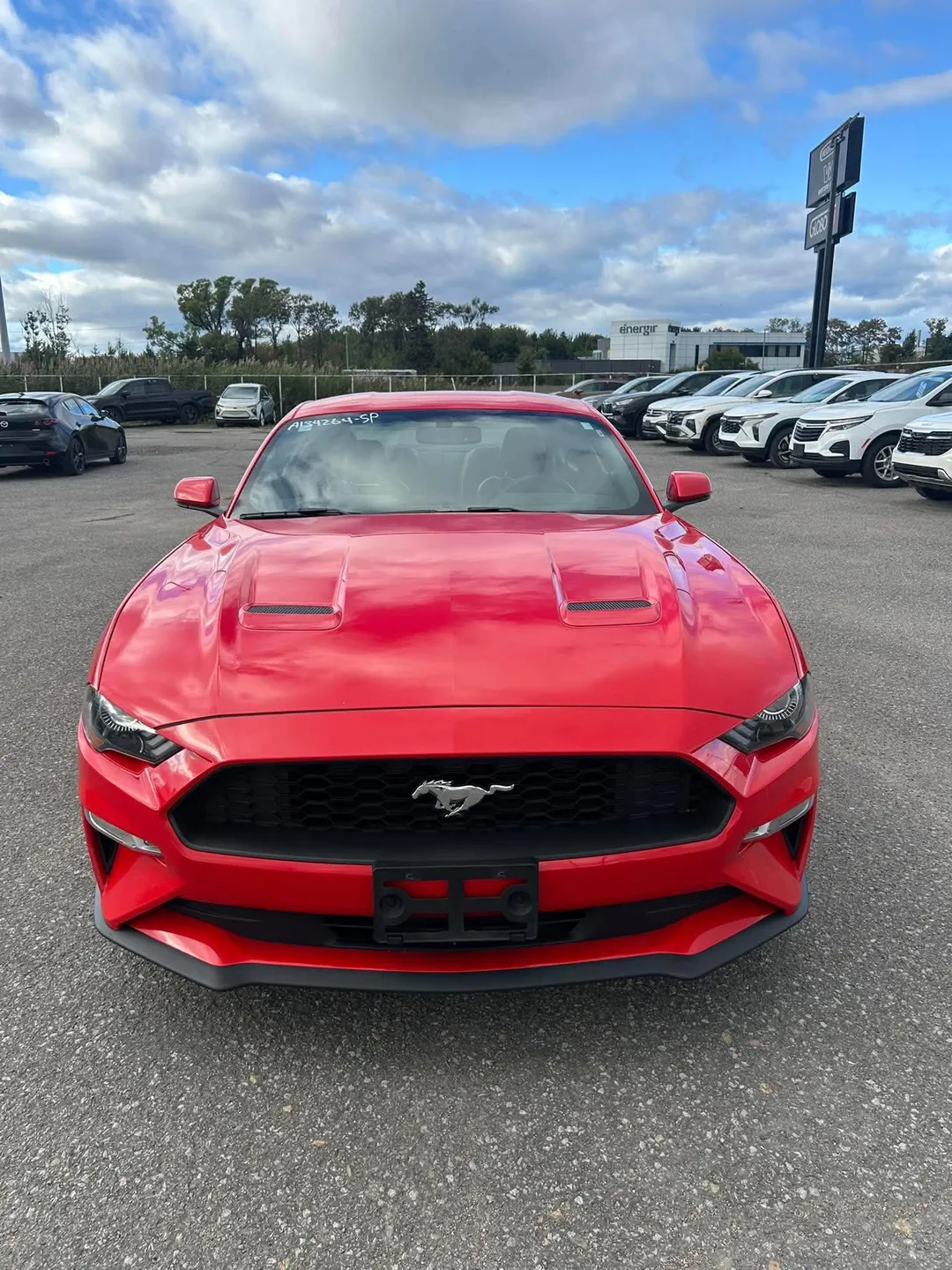 Ford Mustang 2019 à vendre - photo 2
