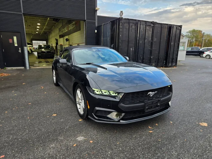 2026 Ford Mustang