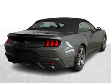 2025 Ford Mustang - image 14