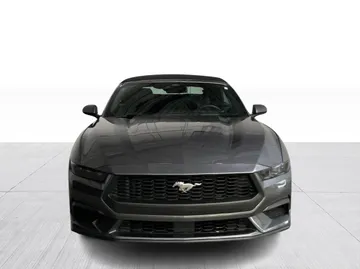 2025 Ford Mustang - image 8