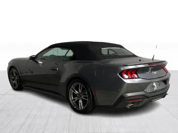 2025 Ford Mustang - image 11