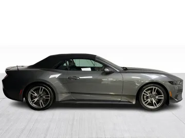 2025 Ford Mustang - image 2