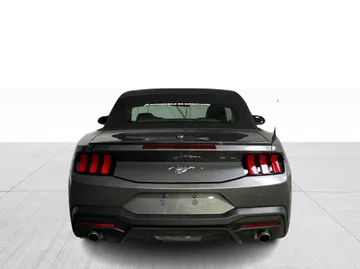 2025 Ford Mustang - image 12