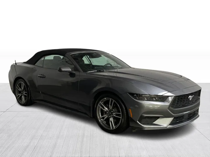 Ford Mustang 2025 à vendre - photo 1