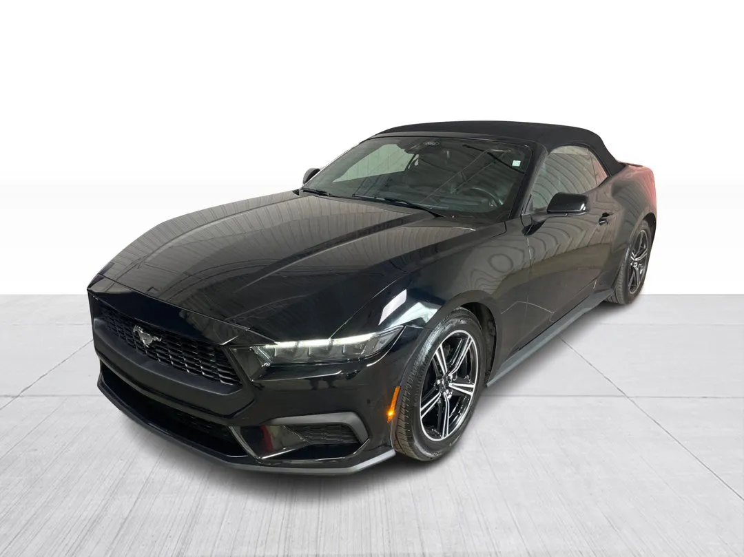 2025 Ford Mustang — photo 8