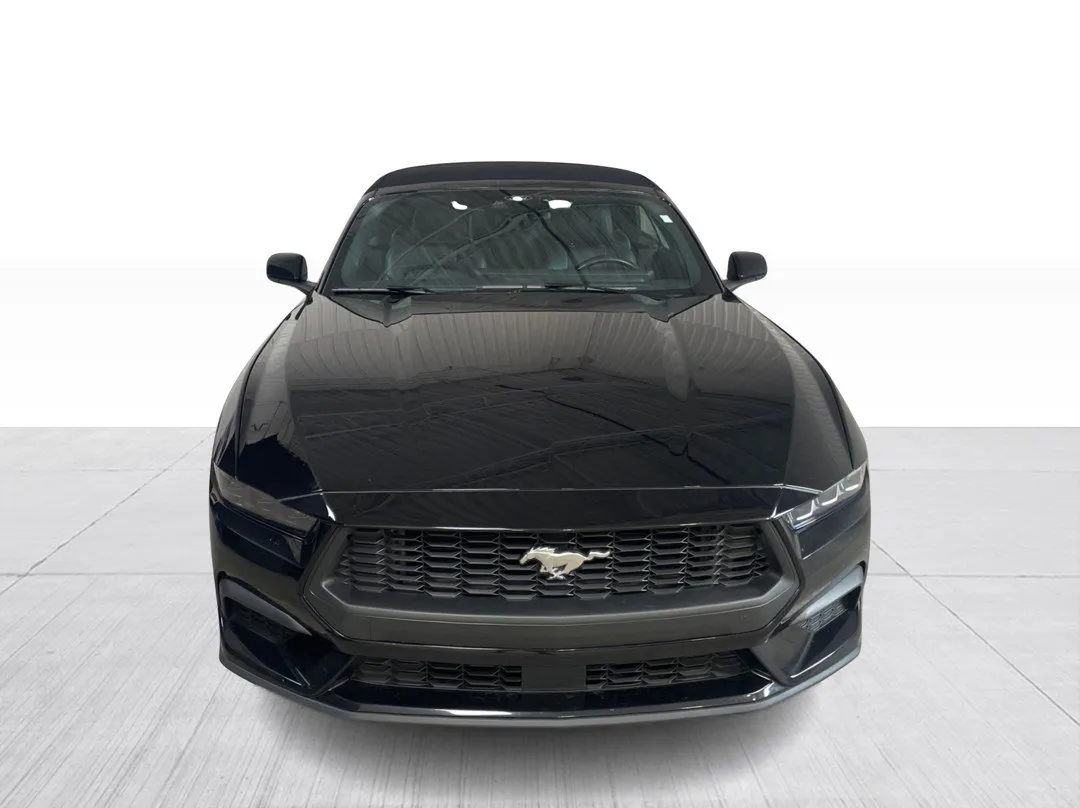 2025 Ford Mustang — photo 7