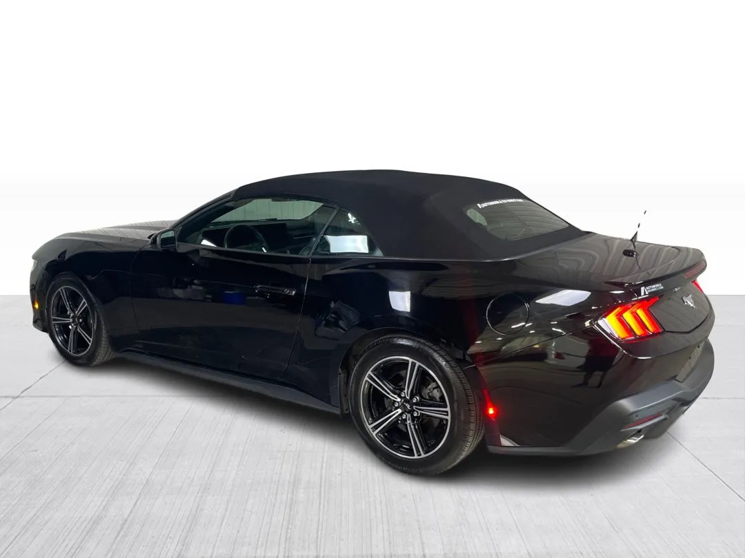 2025 Ford Mustang EcoBoost Premium Convertible, photo 10
