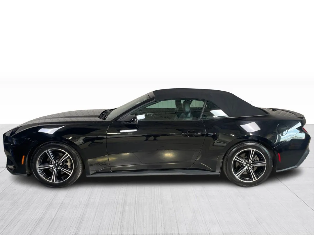 2025 Ford Mustang EcoBoost Premium Convertible, photo 9