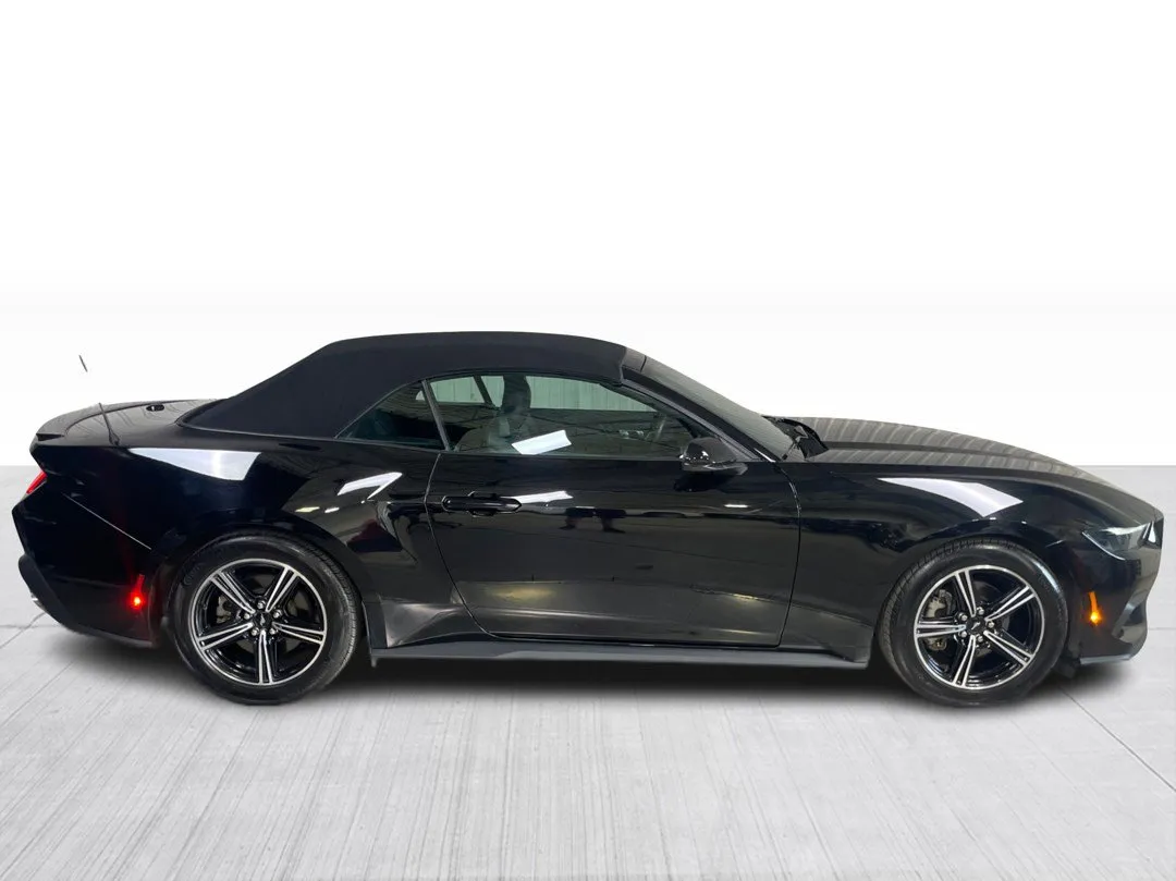 2025 Ford Mustang — photo 2