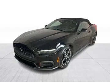 2025 Ford Mustang - image 9