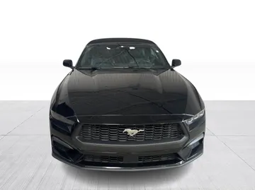 2025 Ford Mustang - image 8