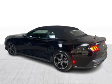 2025 Ford Mustang - image 11
