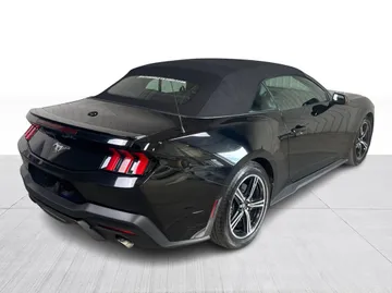 2025 Ford Mustang - image 14