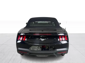 2025 Ford Mustang - image 12