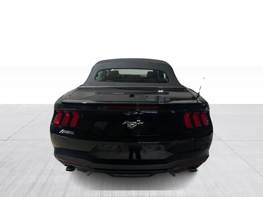 2024 Ford Mustang — photo 6