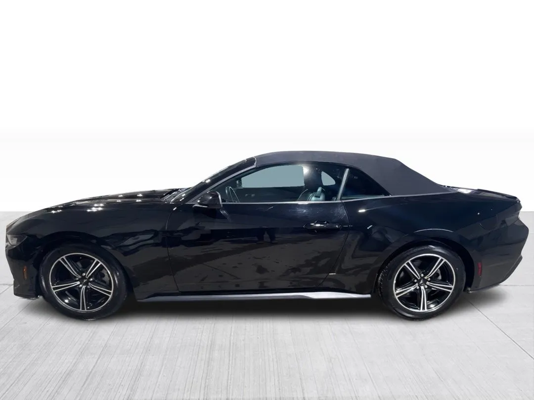 2024 Ford Mustang — photo 4