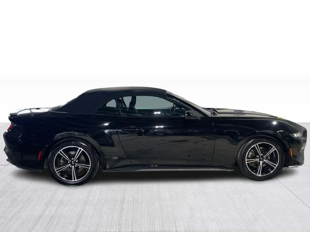 2024 Ford Mustang — photo 8