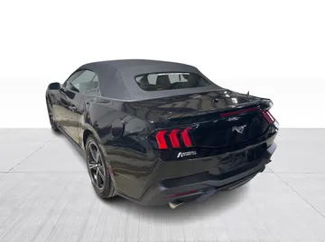 2024 Ford Mustang - image 6