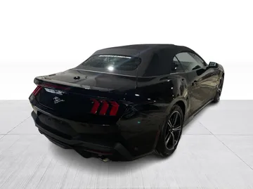 2024 Ford Mustang - image 8