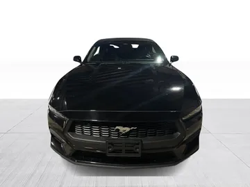 2024 Ford Mustang - image 2