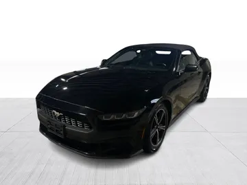 2024 Ford Mustang - image 3