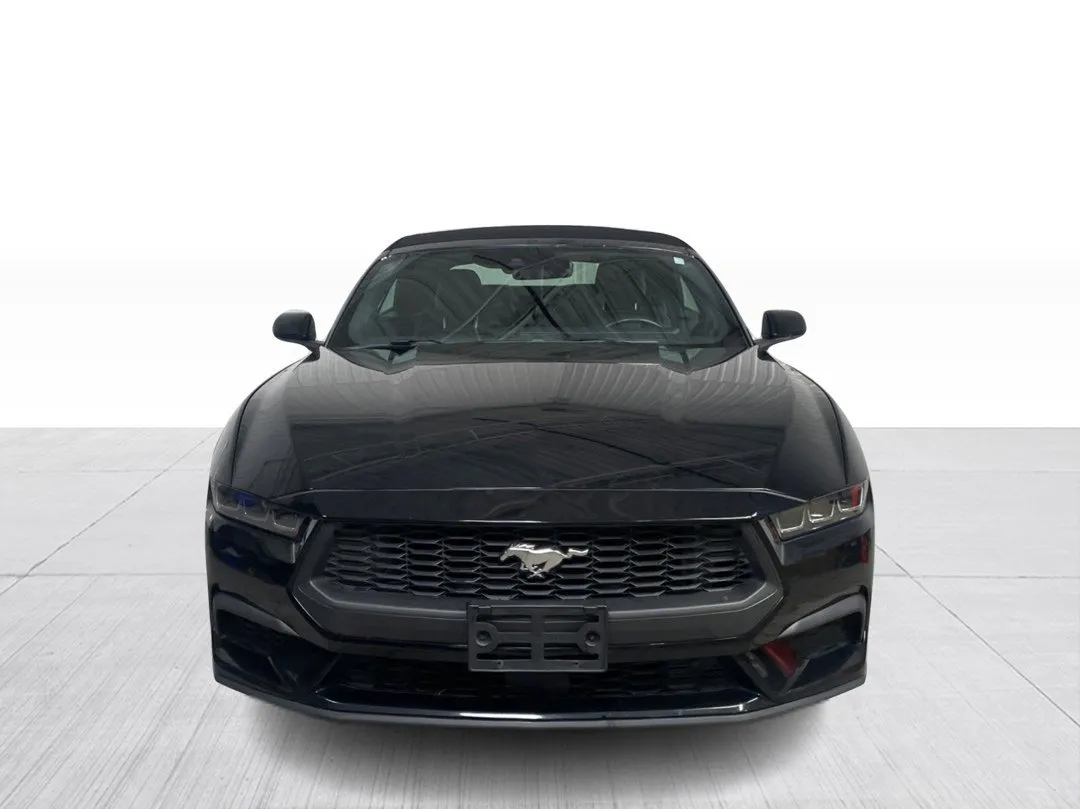 2024 Ford Mustang — photo 7
