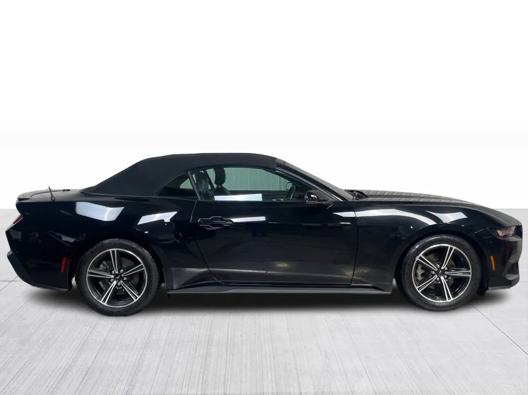 2024 Ford Mustang — photo 2