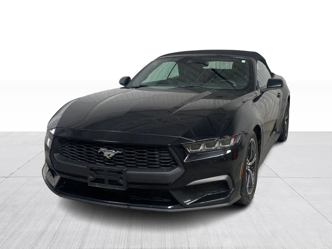 2024 Ford Mustang — photo 8