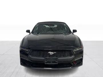 2024 Ford Mustang - image 8