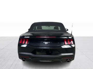 2024 Ford Mustang - image 12