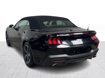 2024 Ford Mustang - image 11