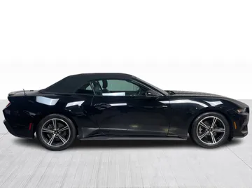 2024 Ford Mustang - image 2