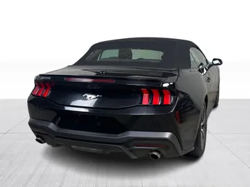 2024 Ford Mustang - image 14