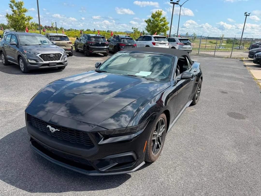 Ford Mustang 2025 à vendre - photo 3