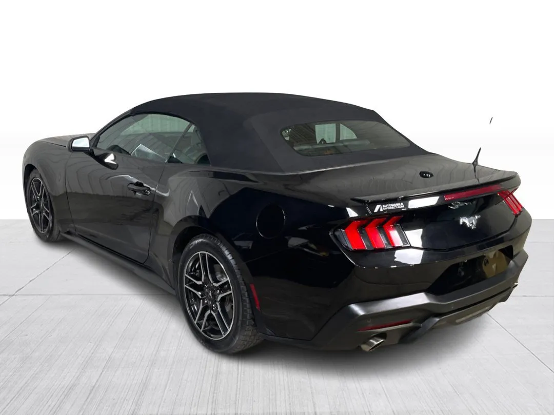 2025 Ford Mustang EcoBoost Premium Convertible, photo 10