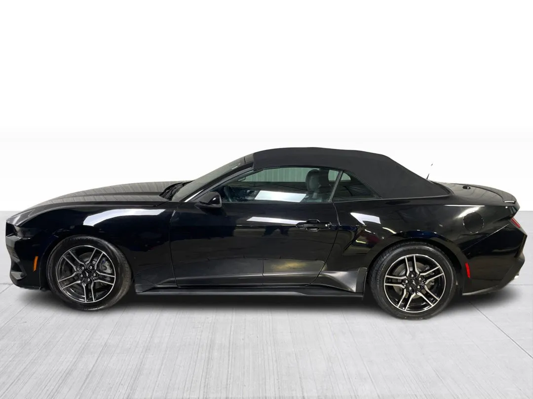 2025 Ford Mustang EcoBoost Premium Convertible, photo 9