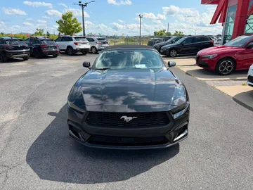 2025 Ford Mustang - image 2